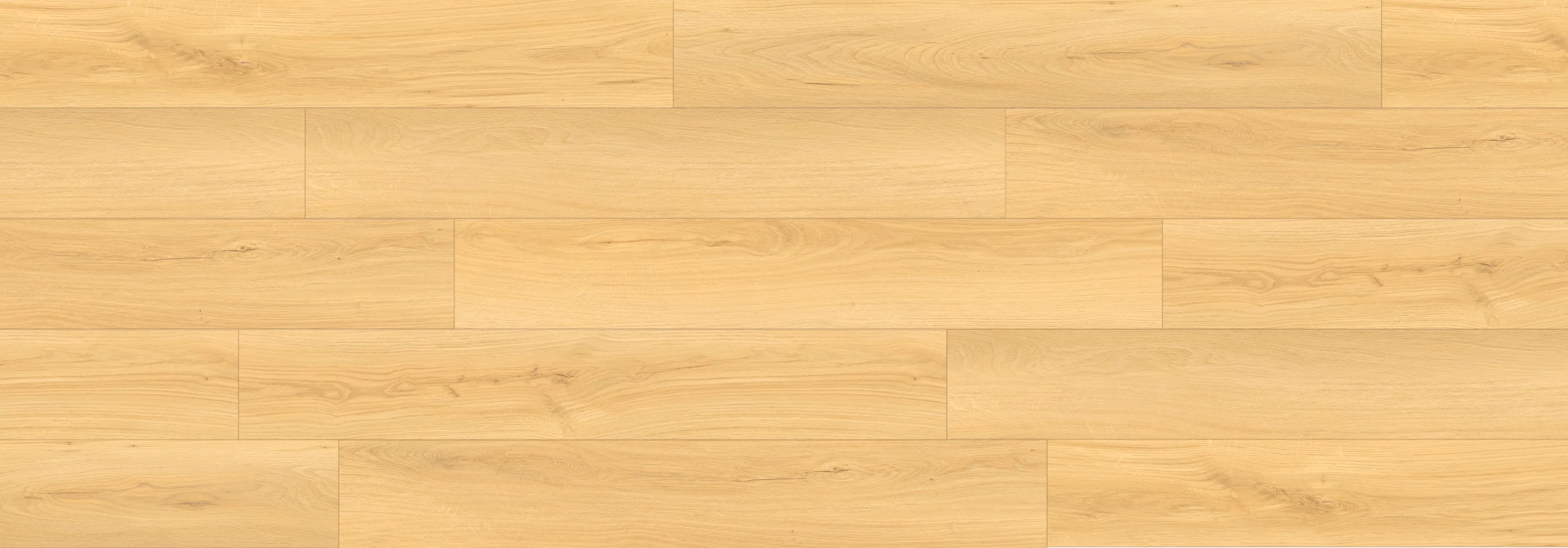 Astoria Gold Bear Woods 12mm Laminate Flooring
