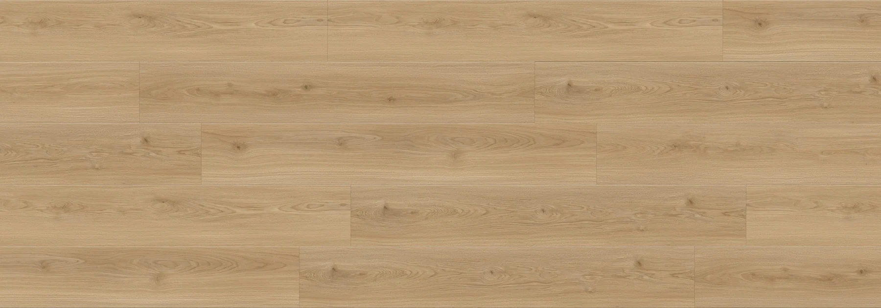 Bianco Romano Bear Woods 12mm Laminate Flooring