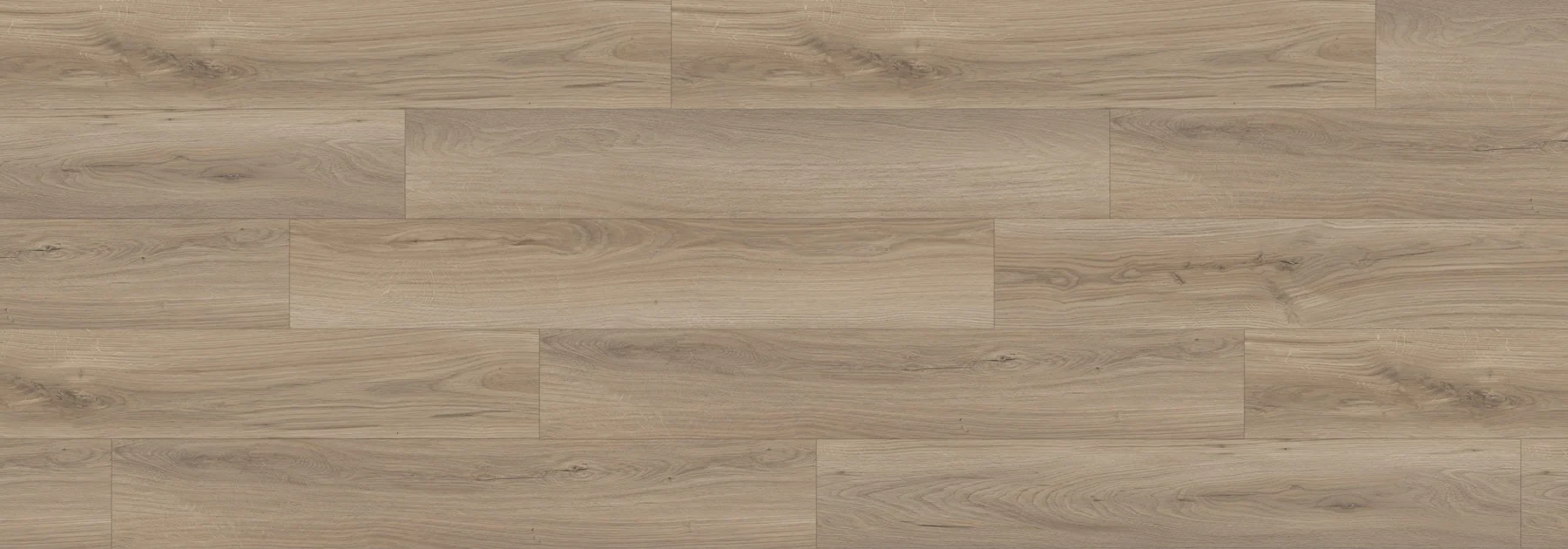 Blue Dunes Bear Woods 12mm Laminate Flooring