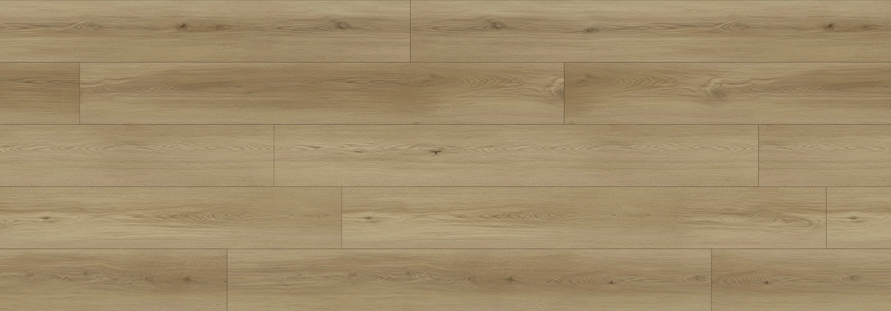 Cream Valencia North Forest 12mm Laminate Flooring