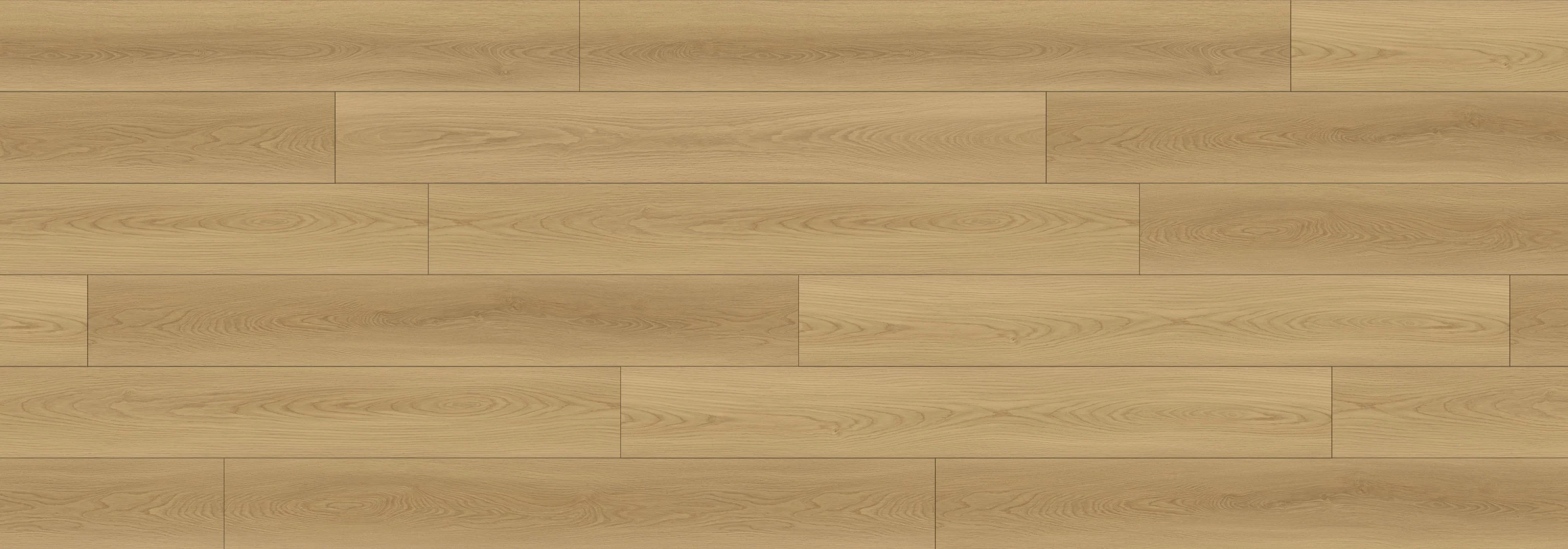 Desert Sunrise North Forest 12mm Laminate Flooring
