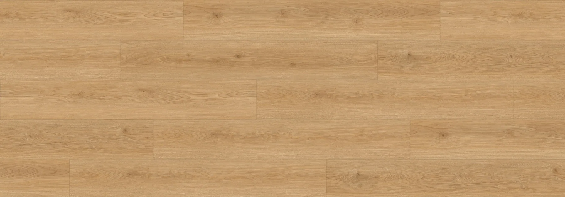 Prada Sunrise Bear Woods 12mm Laminate Flooring