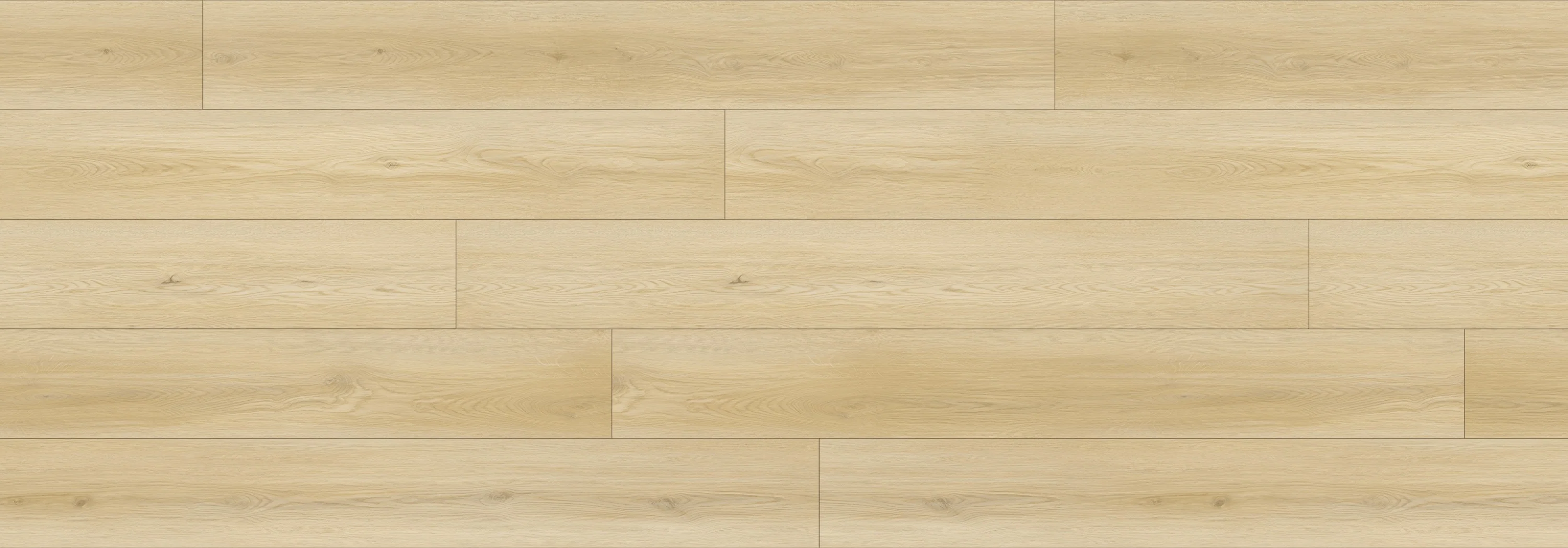 Sand River North Forest 12mm Laminate Flooring